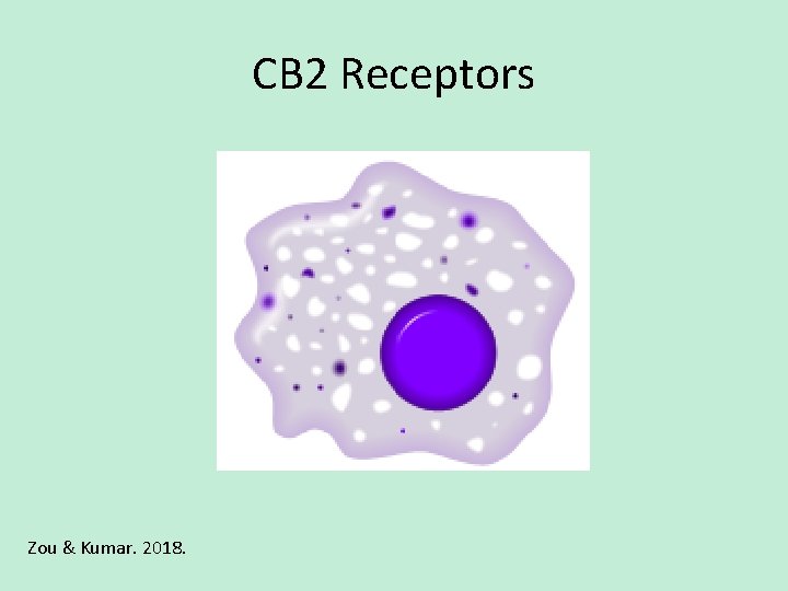 CB 2 Receptors Zou & Kumar. 2018. 