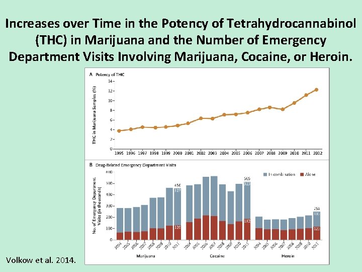 Increases over Time in the Potency of Tetrahydrocannabinol (THC) in Marijuana and the Number