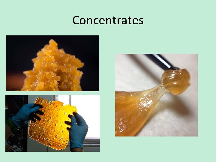 Concentrates 