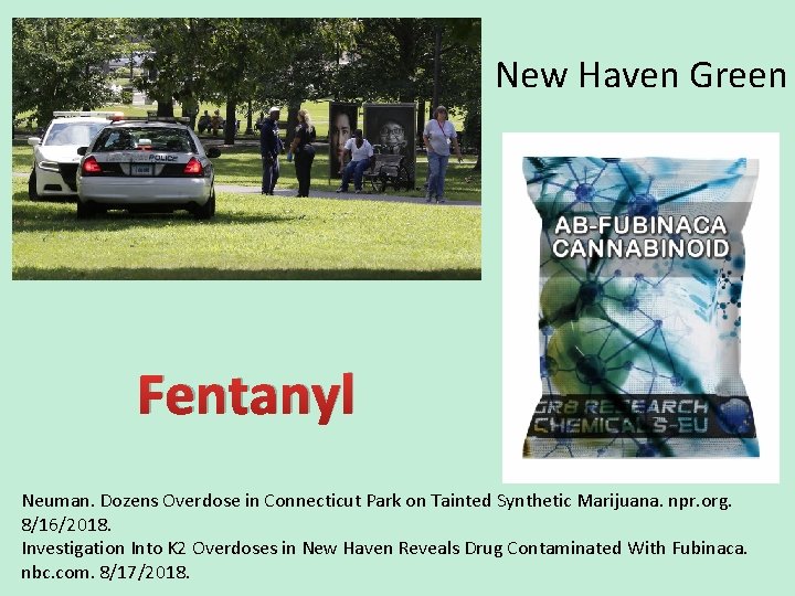 New Haven Green Fentanyl Neuman. Dozens Overdose in Connecticut Park on Tainted Synthetic Marijuana.