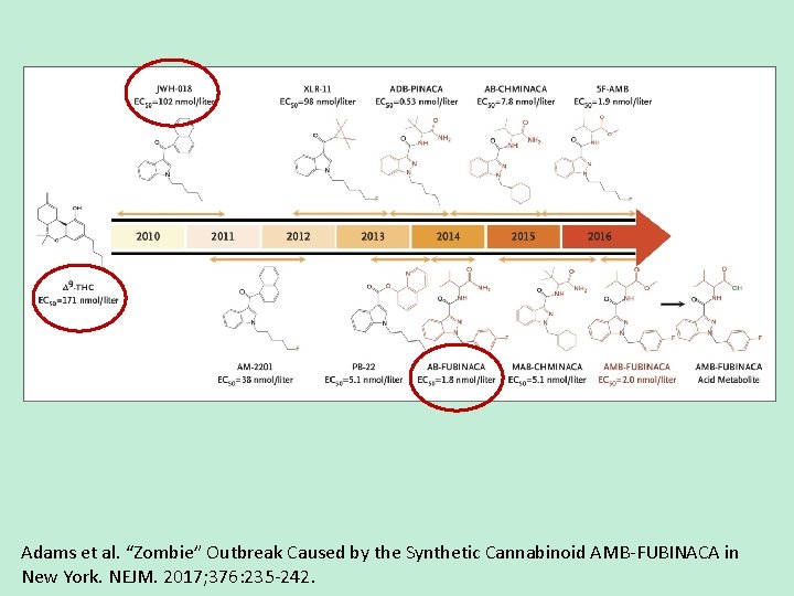 Adams et al. “Zombie” Outbreak Caused by the Synthetic Cannabinoid AMB-FUBINACA in New York.