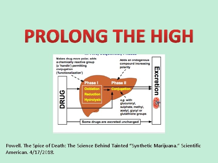 PROLONG THE HIGH Powell. The Spice of Death: The Science Behind Tainted “Synthetic Marijuana.