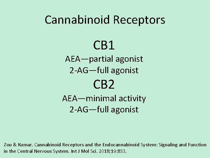 Cannabinoid Receptors CB 1 AEA—partial agonist 2 -AG—full agonist CB 2 AEA—minimal activity 2