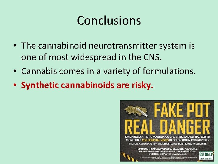 Conclusions • The cannabinoid neurotransmitter system is one of most widespread in the CNS.