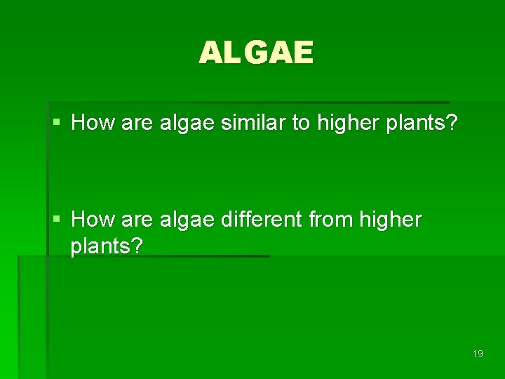 ALGAE § How are algae similar to higher plants? § How are algae different