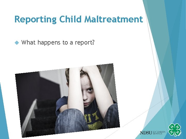 Reporting Child Maltreatment What happens to a report? 