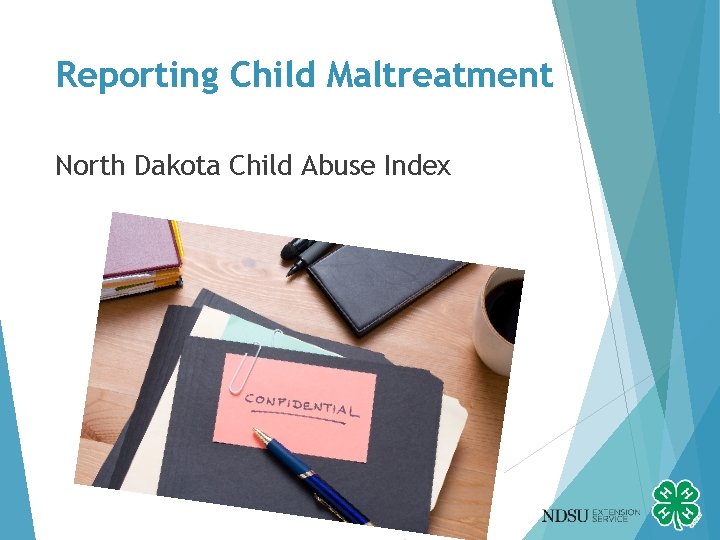 Reporting Child Maltreatment North Dakota Child Abuse Index 