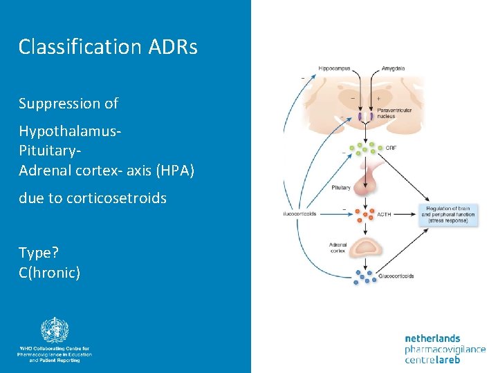 Classification ADRs Suppression of Hypothalamus. Pituitary. Adrenal cortex- axis (HPA) due to corticosetroids Type?