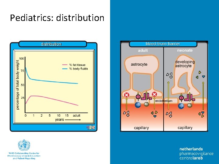 Pediatrics: distribution 