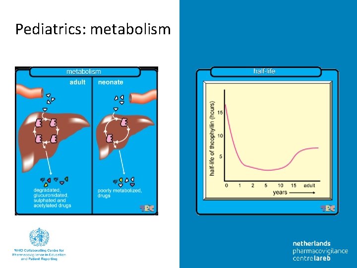 Pediatrics: metabolism 