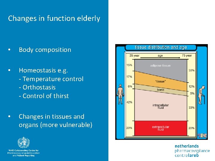 Changes in function elderly • Body composition • Homeostasis e. g. - Temperature control