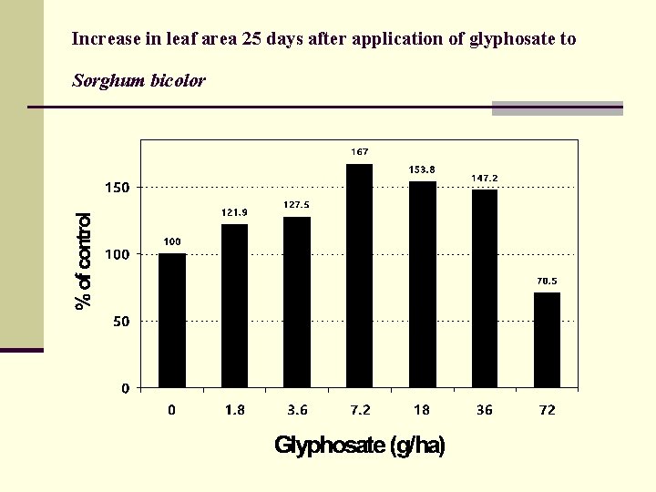 Increase in leaf area 25 days after application of glyphosate to Sorghum bicolor 