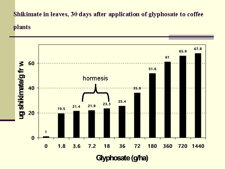 Shikimate in leaves, 30 days after application of glyphosate to coffee plants hormesis 