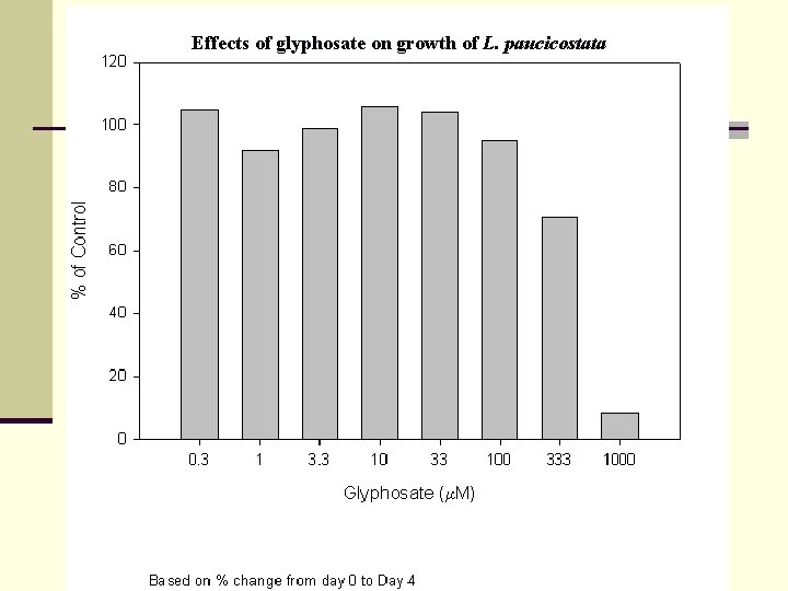 Effects of glyphosate on growth of L. paucicostata 