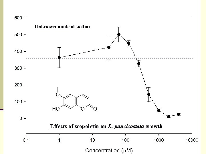 Unknown mode of action Effects of scopoletin on L. paucicostata growth 