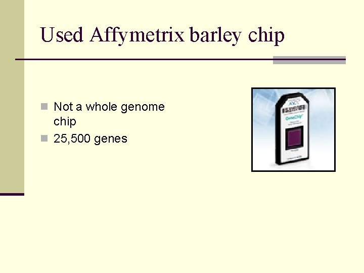 Used Affymetrix barley chip n Not a whole genome chip n 25, 500 genes