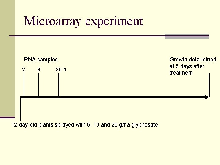 Microarray experiment RNA samples 2 8 20 h 12 -day-old plants sprayed with 5,