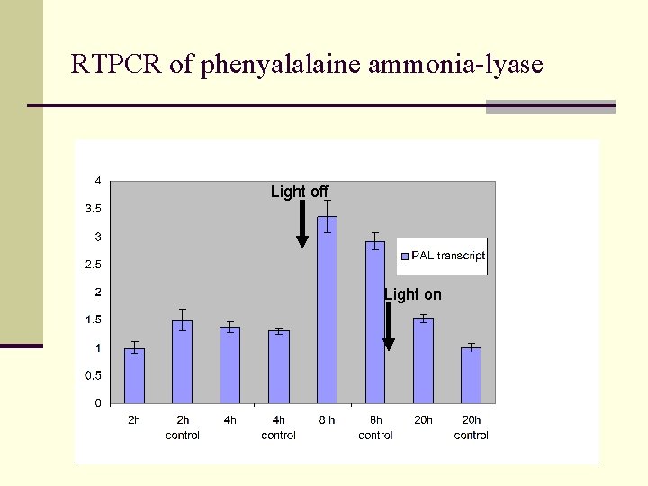 RTPCR of phenyalalaine ammonia-lyase Light off Light on 