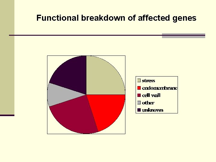 Functional breakdown of affected genes 