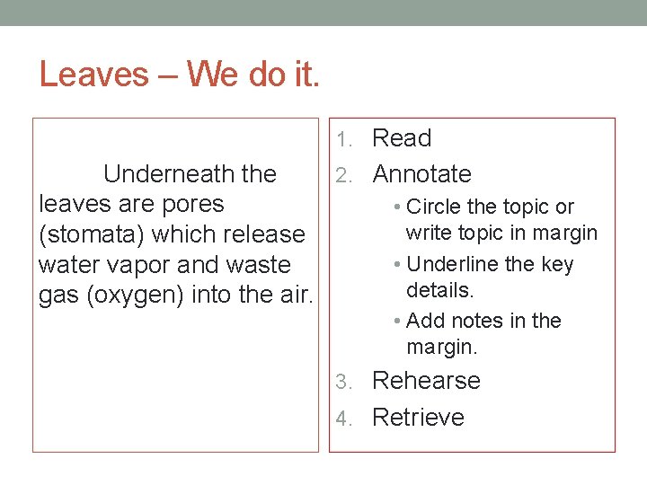 Leaves – We do it. 1. Read Underneath the 2. Annotate leaves are pores