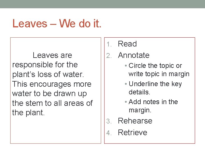 Leaves – We do it. 1. Read Leaves are responsible for the plant’s loss