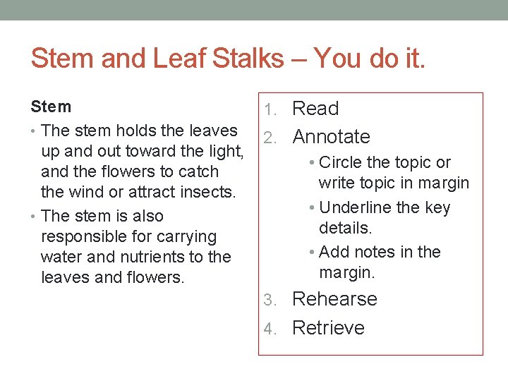 Stem and Leaf Stalks – You do it. Stem • The stem holds the
