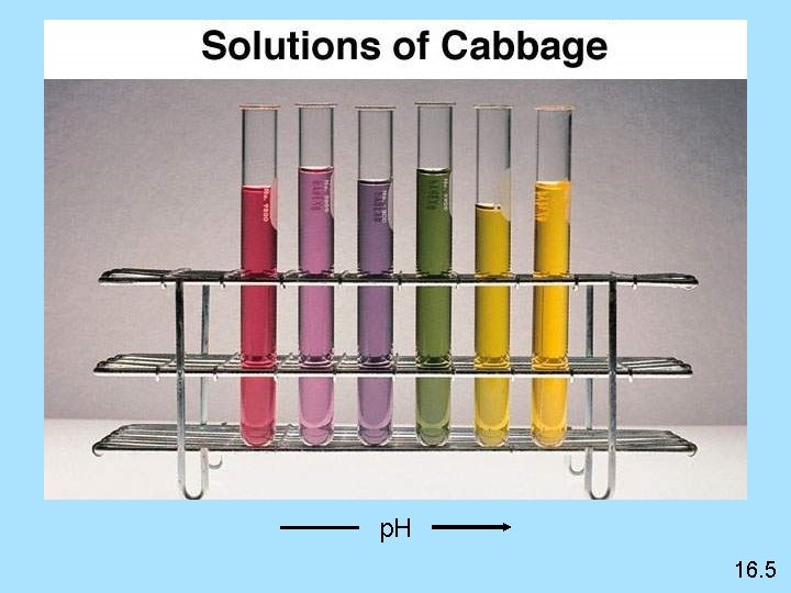 p. H 16. 5 