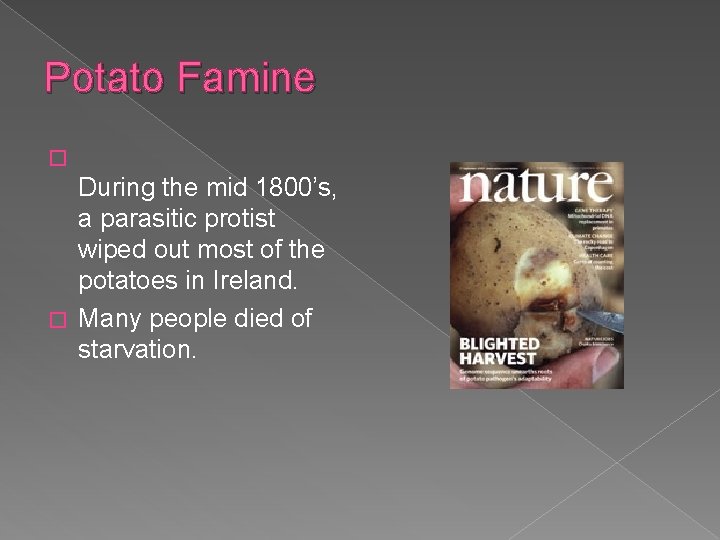Potato Famine � During the mid 1800’s, a parasitic protist wiped out most of