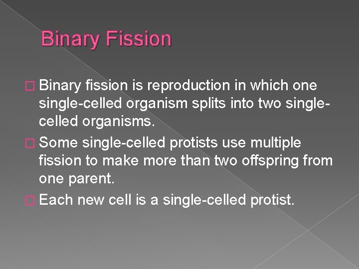 Binary Fission � Binary fission is reproduction in which one single-celled organism splits into