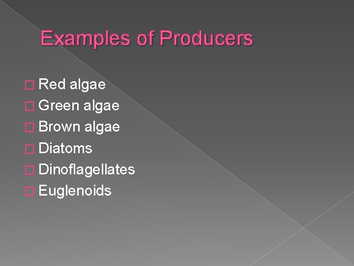 Examples of Producers � Red algae � Green algae � Brown algae � Diatoms