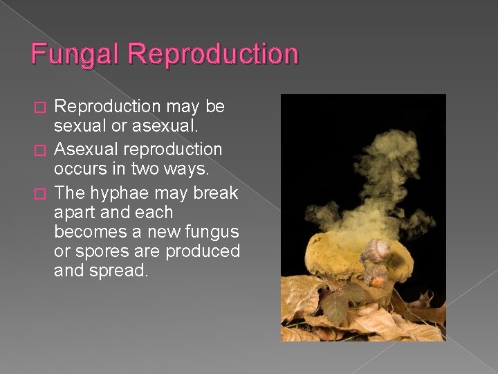 Fungal Reproduction may be sexual or asexual. � Asexual reproduction occurs in two ways.