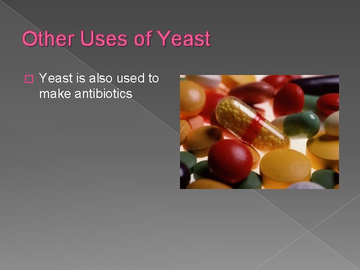 Other Uses of Yeast � Yeast is also used to make antibiotics 