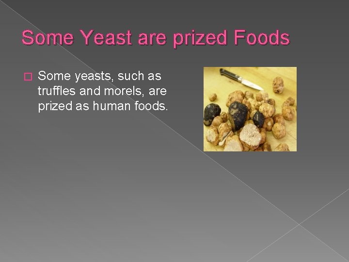 Some Yeast are prized Foods � Some yeasts, such as truffles and morels, are