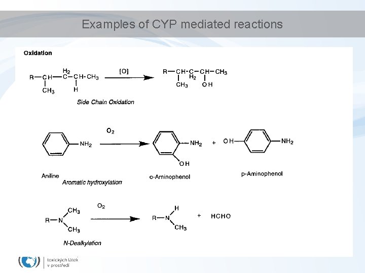 Examples of CYP mediated reactions 