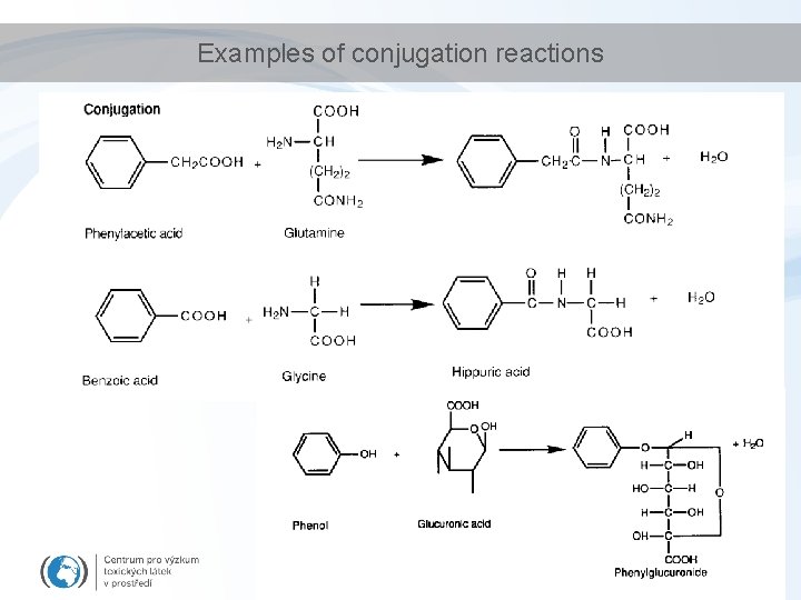 Examples of conjugation reactions Examples of conjugation reactions