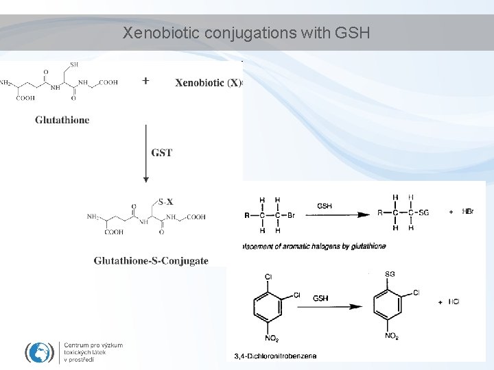 Xenobiotic conjugations with GSH Xenobiotic conjugations with GSH