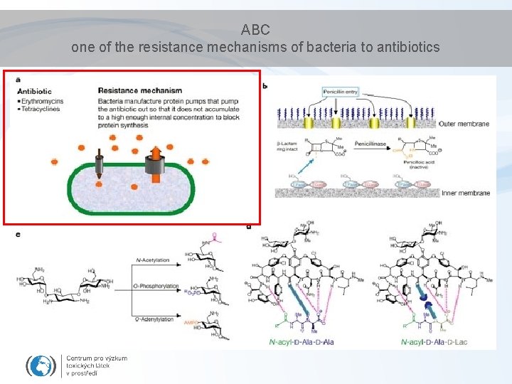 ABC one of the resistance mechanisms of bacteria to antibiotics ABC one of the resistance mechanisms of bacteria to antibiotics