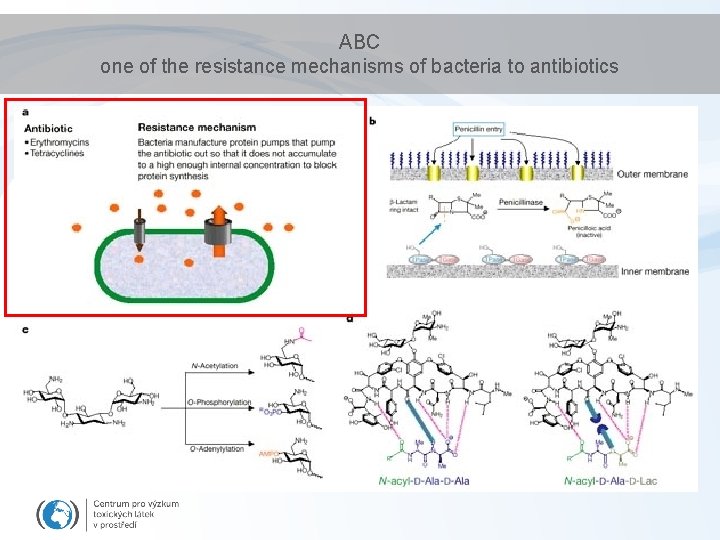 ABC one of the resistance mechanisms of bacteria to antibiotics 