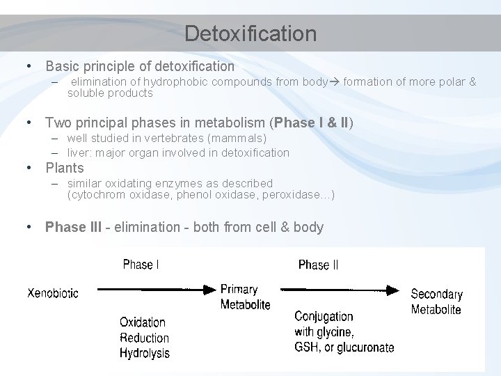 Detoxification • Basic principle of detoxification – elimination of hydrophobic compounds from body formation Detoxification • Basic principle of detoxification – elimination of hydrophobic compounds from body formation