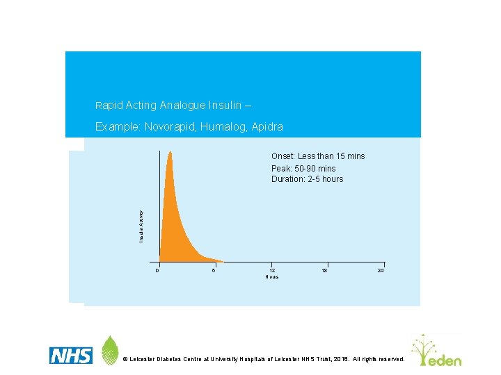 Rapid Acting Analogue Insulin – Example: Novorapid, Humalog, Apidra Onset: Less than 15 mins