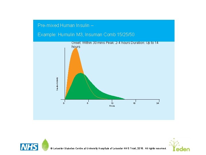 Pre-mixed Human Insulin – Example: Humulin M 3, Insuman Comb 15/25/50 Insulin Activity Onset: