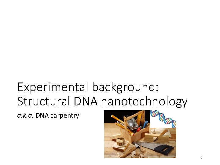 Experimental background: Structural DNA nanotechnology a. k. a. DNA carpentry 2 