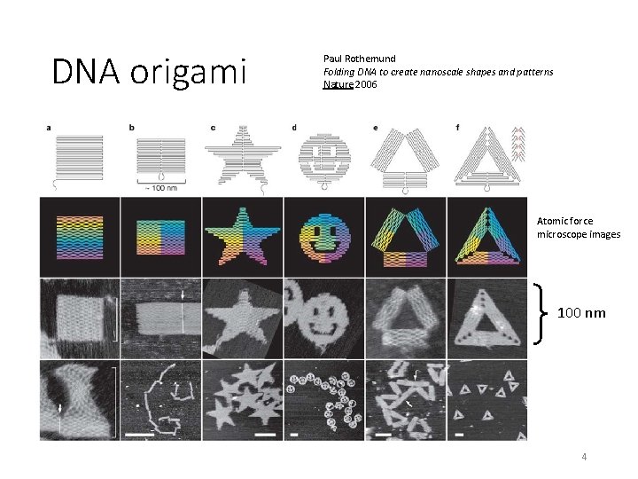 DNA origami Paul Rothemund Folding DNA to create nanoscale shapes and patterns Nature 2006