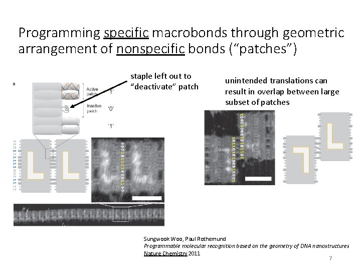 Programming specific macrobonds through geometric arrangement of nonspecific bonds (“patches”) staple left out to