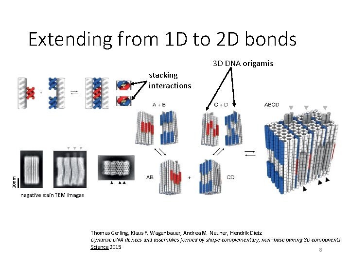 Extending from 1 D to 2 D bonds 3 D DNA origamis 20 nm
