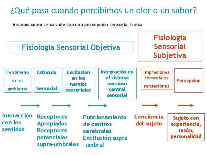 ¿Qué pasa cuando percibimos un olor o un sabor? Veamos como se caracteriza una