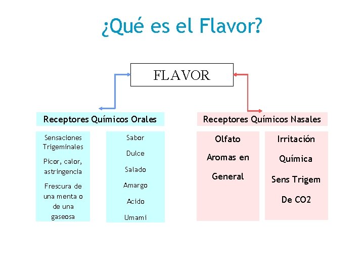 ¿Qué es el Flavor? FLAVOR Receptores Químicos Orales Sensaciones Trigeminales Picor, calor, astringencia Frescura