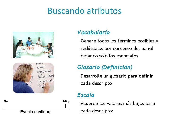 Buscando atributos Vocabulario Genere todos los términos posibles y redúzcalos por consenso del panel
