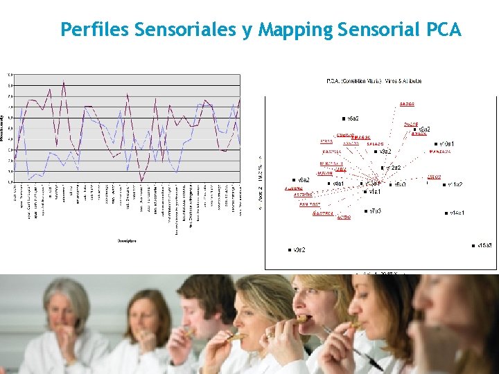 Perfiles Sensoriales y Mapping Sensorial PCA 