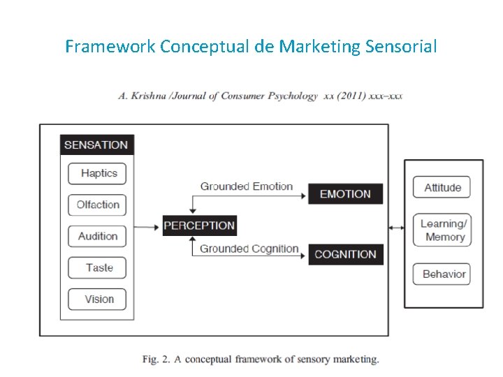 Framework Conceptual de Marketing Sensorial 